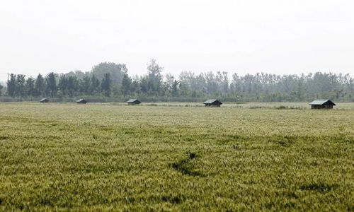 基建受阻，農(nóng)業(yè)科技開(kāi)發(fā)或?qū)⒚媾R變數(shù)