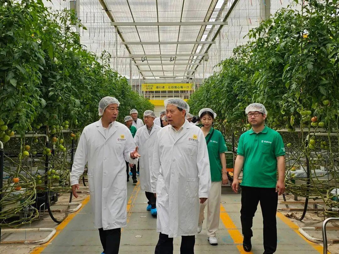 科技賦能農(nóng)業(yè)新篇 劉中會(huì)副主任委員赴凱盛浩豐考察調(diào)研農(nóng)業(yè)種植技術(shù)開發(fā)