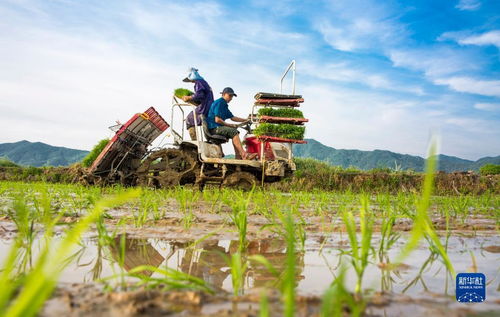當(dāng)前中國經(jīng)濟(jì)十問 從宏觀大勢(shì)到農(nóng)業(yè)技術(shù)創(chuàng)新的機(jī)遇與挑戰(zhàn)