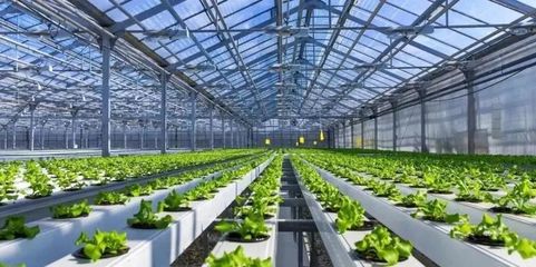 未來已來 探訪5G植物工廠與農(nóng)業(yè)數(shù)字孿生實(shí)驗(yàn)室，揭秘新農(nóng)業(yè)的技術(shù)革命